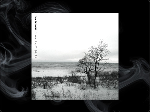 TEX LA HOMA - SOME LOST BLISS